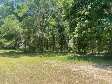 Cooper's Point provides access to a community deep water dock on Sapelo Hammock Golf Club in Georgia - for sale on GolfHomes.com, golf home, golf lot