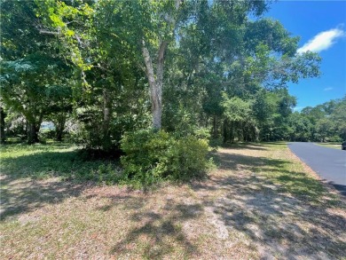 Cooper's Point provides access to a community deep water dock on Sapelo Hammock Golf Club in Georgia - for sale on GolfHomes.com, golf home, golf lot