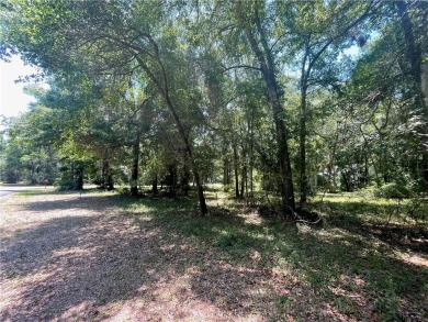 Cooper's Point provides access to a community deep water dock on Sapelo Hammock Golf Club in Georgia - for sale on GolfHomes.com, golf home, golf lot