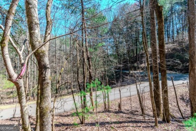 Are you ready to build your dream home in the North GA on White Path Golf Club in Georgia - for sale on GolfHomes.com, golf home, golf lot