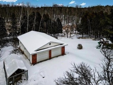 OPEN HOUSE SATURDAY 2/15 12-3PM/Stop the car! This is the home on Castle Creek Golf Club  in Michigan - for sale on GolfHomes.com, golf home, golf lot