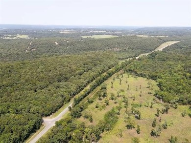 Seller says *BARNDOMINIUMS AND S WELCOME!!* Looking to Build at on Wolf Golf Course at TenKiller Lake in Oklahoma - for sale on GolfHomes.com, golf home, golf lot