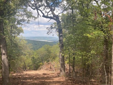 Seller says *BARNDOMINIUMS AND S WELCOME!!* Looking to Build at on Wolf Golf Course at TenKiller Lake in Oklahoma - for sale on GolfHomes.com, golf home, golf lot