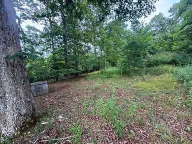 Discover the perfect canvas for your dream home on an ideal 1 on Chatuge Shores Golf Course in North Carolina - for sale on GolfHomes.com, golf home, golf lot