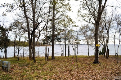 Beautiful Lake Fork Views in Wolf Creek Bay! 213 County Road on Links At Lands End in Texas - for sale on GolfHomes.com, golf home, golf lot