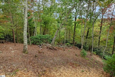 Fantastic opportunity within The Cliffs at Mountain Park, the on The Cliffs at Mountain Park  in South Carolina - for sale on GolfHomes.com, golf home, golf lot