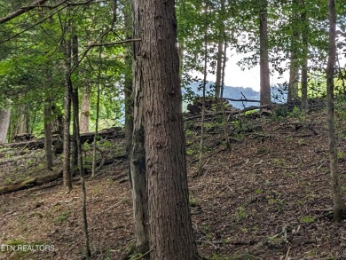 Located on a private street within the Laurel Valley community on Laurel Valley Golf Course in Tennessee - for sale on GolfHomes.com, golf home, golf lot