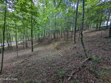Located on a private street within the Laurel Valley community on Laurel Valley Golf Course in Tennessee - for sale on GolfHomes.com, golf home, golf lot