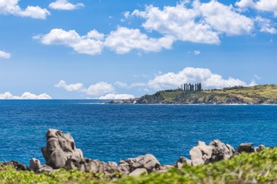 Discover the ultimate luxury villa along the incredible Kapalua on Kapalua Golf Club - Bay Course in Hawaii - for sale on GolfHomes.com, golf home, golf lot