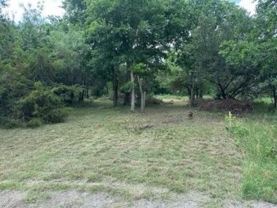 White Bluff is a beautiful community on white limestone cliffs on White Bluff Resort - New Course in Texas - for sale on GolfHomes.com, golf home, golf lot