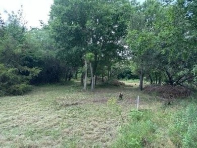 White Bluff is a beautiful community on white limestone cliffs on White Bluff Resort - New Course in Texas - for sale on GolfHomes.com, golf home, golf lot