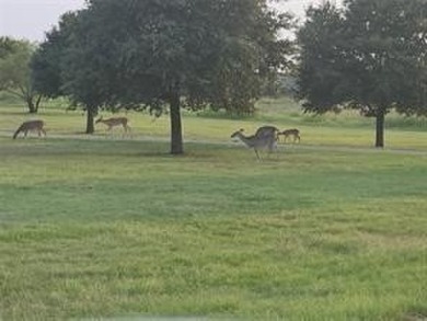 White Bluff is a beautiful community on white limestone cliffs on White Bluff Resort - New Course in Texas - for sale on GolfHomes.com, golf home, golf lot