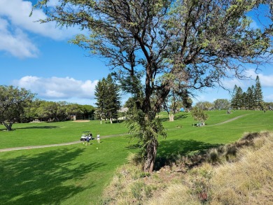 Rarely available, Paniolo Gardens in Waikoloa Village offers the on Waikoloa Village Golf Club in Hawaii - for sale on GolfHomes.com, golf home, golf lot