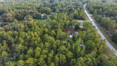 Nestled on a sprawling acre-plus corner lot, this newer charming on Juliette Falls Golf and Spa Club in Florida - for sale on GolfHomes.com, golf home, golf lot