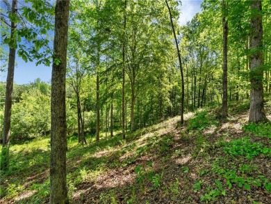 Experience the pinnacle of privacy, beauty, and luxury living in on The Cliffs At Keowee Falls in South Carolina - for sale on GolfHomes.com, golf home, golf lot