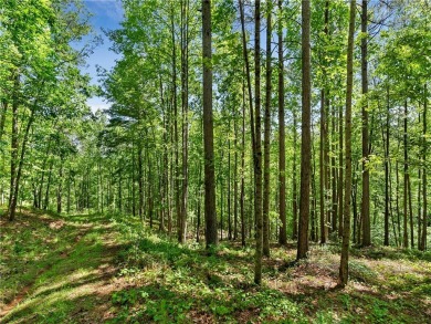 Experience the pinnacle of privacy, beauty, and luxury living in on The Cliffs At Keowee Falls in South Carolina - for sale on GolfHomes.com, golf home, golf lot