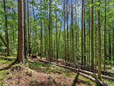 Experience the pinnacle of privacy, beauty, and luxury living in on The Cliffs At Keowee Falls in South Carolina - for sale on GolfHomes.com, golf home, golf lot