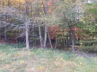 This lot is just over 1/2 an acre and is situated at the end of on Glade Springs Resort Golf Course in West Virginia - for sale on GolfHomes.com, golf home, golf lot