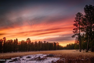 Fabulous furnished remodeled 2-bedroom, 2-bath cabin with on Bison Golf and Country Club in Arizona - for sale on GolfHomes.com, golf home, golf lot