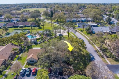 Enjoy the privacy and comfort of a large, split floorplan villa on Highland Lakes Executive Golf Course in Florida - for sale on GolfHomes.com, golf home, golf lot