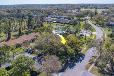 Enjoy the privacy and comfort of a large, split floorplan villa on Highland Lakes Executive Golf Course in Florida - for sale on GolfHomes.com, golf home, golf lot