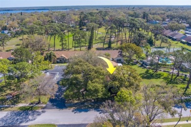 Enjoy the privacy and comfort of a large, split floorplan villa on Highland Lakes Executive Golf Course in Florida - for sale on GolfHomes.com, golf home, golf lot