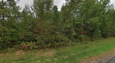 This beautiful, wooded 1.04-acre land is the perfect blank on Breezy Point Golf Course Resort in Minnesota - for sale on GolfHomes.com, golf home, golf lot