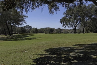 Wake to the stillness of the lake, coffee in hand on your on Golf Club at Bluewater Bay Resort in Florida - for sale on GolfHomes.com, golf home, golf lot