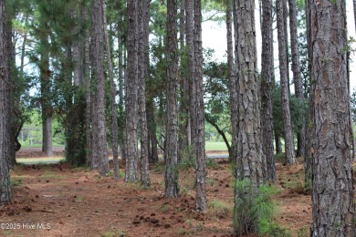 Beautiful wooded golf course lot on the Players Course with on Members Club At St. James Plantation in North Carolina - for sale on GolfHomes.com, golf home, golf lot