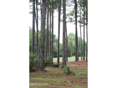 Beautiful wooded golf course lot on the Players Course with on Members Club At St. James Plantation in North Carolina - for sale on GolfHomes.com, golf home, golf lot