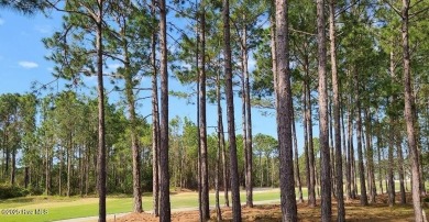 Beautiful wooded golf course lot on the Players Course with on Members Club At St. James Plantation in North Carolina - for sale on GolfHomes.com, golf home, golf lot