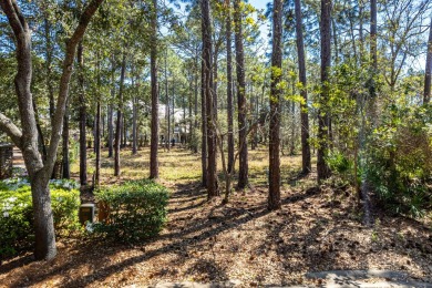 Discover an unparalleled opportunity to build your dream home in on Sandestin Golf and Beach Resort - Raven in Florida - for sale on GolfHomes.com, golf home, golf lot