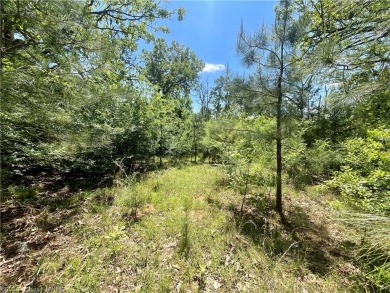 Great location to build on Hwy 10 E. in Greenwood. Seller say on Vache-Grasse Country Club in Arkansas - for sale on GolfHomes.com, golf home, golf lot