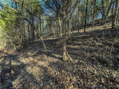 The seller will consider all reasonable offers. Offering an on The Club At Old Kinderhook in Missouri - for sale on GolfHomes.com, golf home, golf lot