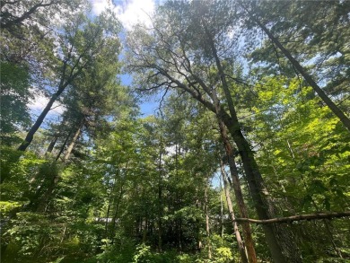 Beautiful level lot ready for your camper, tent or RV!  Close to on Pine Ridge Golf Club in Minnesota - for sale on GolfHomes.com, golf home, golf lot