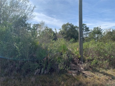 Build your new home on this high and dry 1.03 ac lot in on Wedgefield Golf Club in Florida - for sale on GolfHomes.com, golf home, golf lot