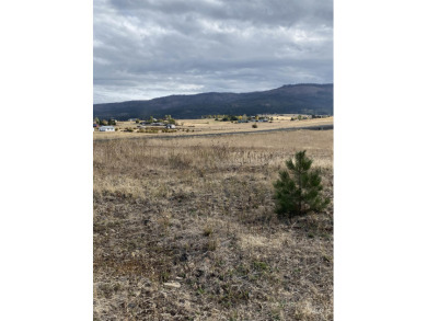 Amazing building site with plenty of views to go around! Drink on Grangeville Country Club in Idaho - for sale on GolfHomes.com, golf home, golf lot