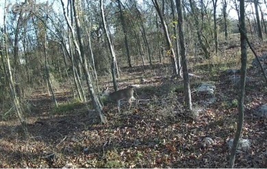 One of the LAST opportunities left to build in Country Club on Sulphur Springs Country Club in Texas - for sale on GolfHomes.com, golf home, golf lot