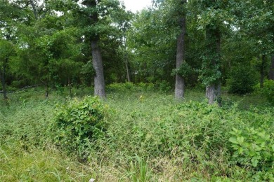 One of the LAST opportunities left to build in Country Club on Sulphur Springs Country Club in Texas - for sale on GolfHomes.com, golf home, golf lot
