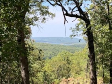 Seller says *BARNDOMINIUMS AND S WELCOME!!* Looking to Build at on Wolf Golf Course at TenKiller Lake in Oklahoma - for sale on GolfHomes.com, golf home, golf lot