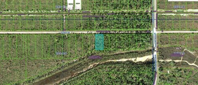 This 0.51-acre vacant residential lot on Althea Drive , Florida on Indian Lake Estates Golf and Country Club in Florida - for sale on GolfHomes.com, golf home, golf lot