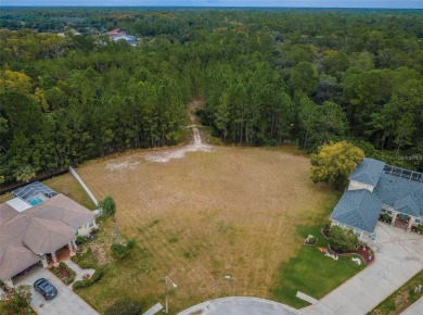 Location! Location! Location! Great opportunity to purchase this on Seven Springs Golf and Country Club in Florida - for sale on GolfHomes.com, golf home, golf lot