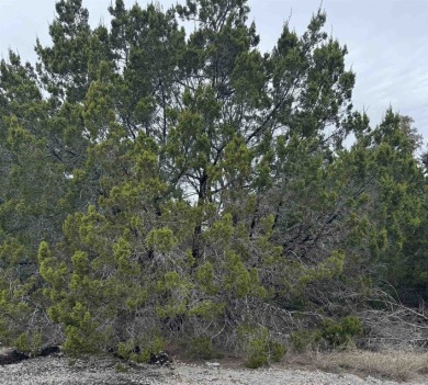 Hill Country & Lake Living, Perfect Opportunity to Build Your on Lago Vista Golf Club in Texas - for sale on GolfHomes.com, golf home, golf lot