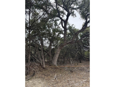 Hill Country & Lake Living, Perfect Opportunity to Build Your on Lago Vista Golf Club in Texas - for sale on GolfHomes.com, golf home, golf lot