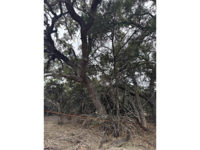 Hill Country & Lake Living, Perfect Opportunity to Build Your on Lago Vista Golf Club in Texas - for sale on GolfHomes.com, golf home, golf lot