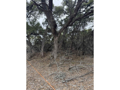 Hill Country & Lake Living, Perfect Opportunity to Build Your on Lago Vista Golf Club in Texas - for sale on GolfHomes.com, golf home, golf lot