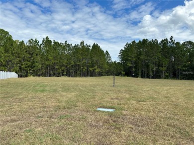 Location! Location! Location! Great opportunity to purchase this on Seven Springs Golf and Country Club in Florida - for sale on GolfHomes.com, golf home, golf lot