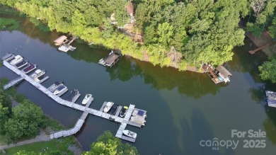 Live the Lake Wylie lifestyle in this beautifully updated 3BR/2 on Tega Cay Golf Club in South Carolina - for sale on GolfHomes.com, golf home, golf lot
