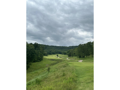 Imagine waking up to the serene beauty of Branson Hills Golf on Payne Stewart Golf Club of Branson Hills - Front in Missouri - for sale on GolfHomes.com, golf home, golf lot