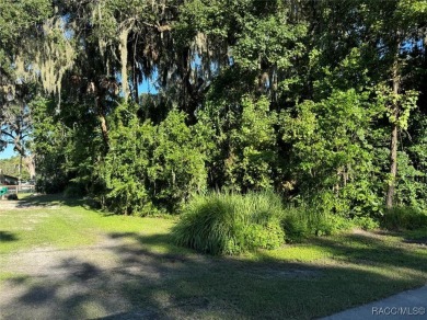 Rare Deeded Access to Kings Bay, Crystal River: Short Term on Plantation Inn and Golf Resort  in Florida - for sale on GolfHomes.com, golf home, golf lot